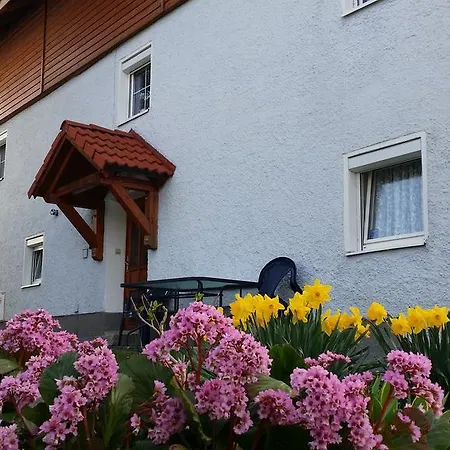 Mayerhofer House Linz Exterior photo