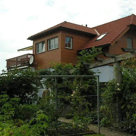 Mayerhofer House Linz Exterior photo
