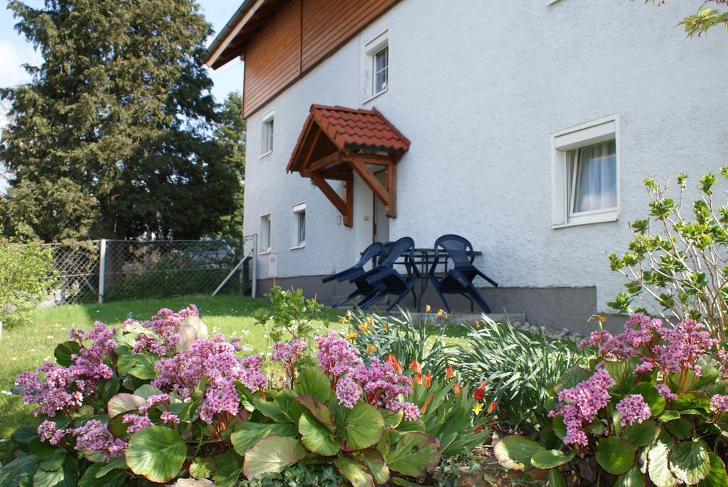 Mayerhofer House Apartment Linz