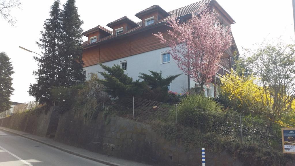 Mayerhofer House *
