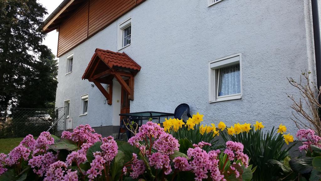 Mayerhofer House
