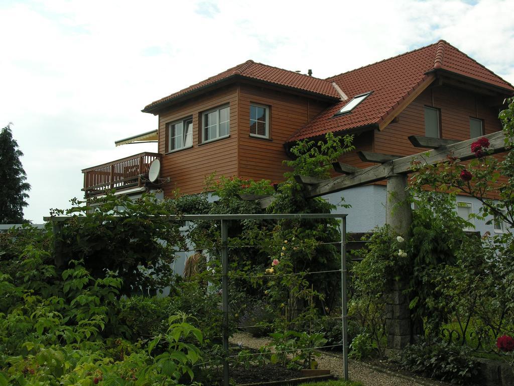 Mayerhofer House